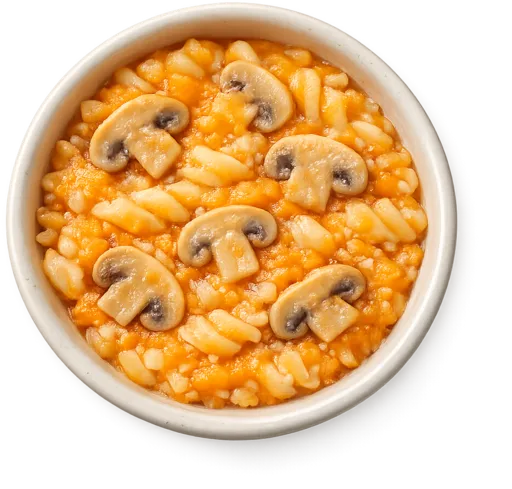 Nudeln mit Karotte und Champignons