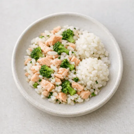 Saumon, Riz et Brocoli